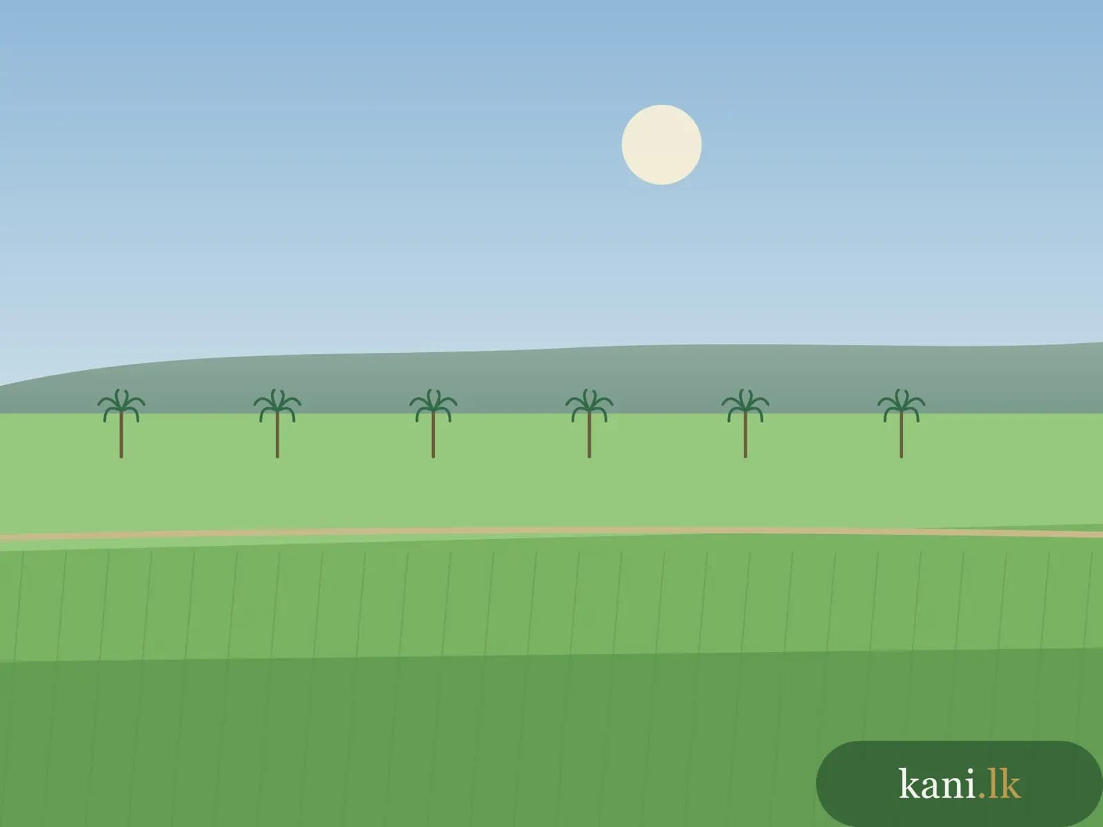 Paddy land 3 acres at Kaluwanchikudy, Batticaloa